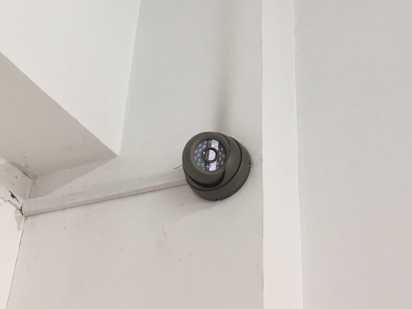 豸-ͷ2 